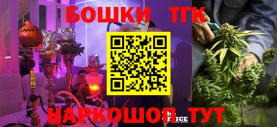 крисы Тулун