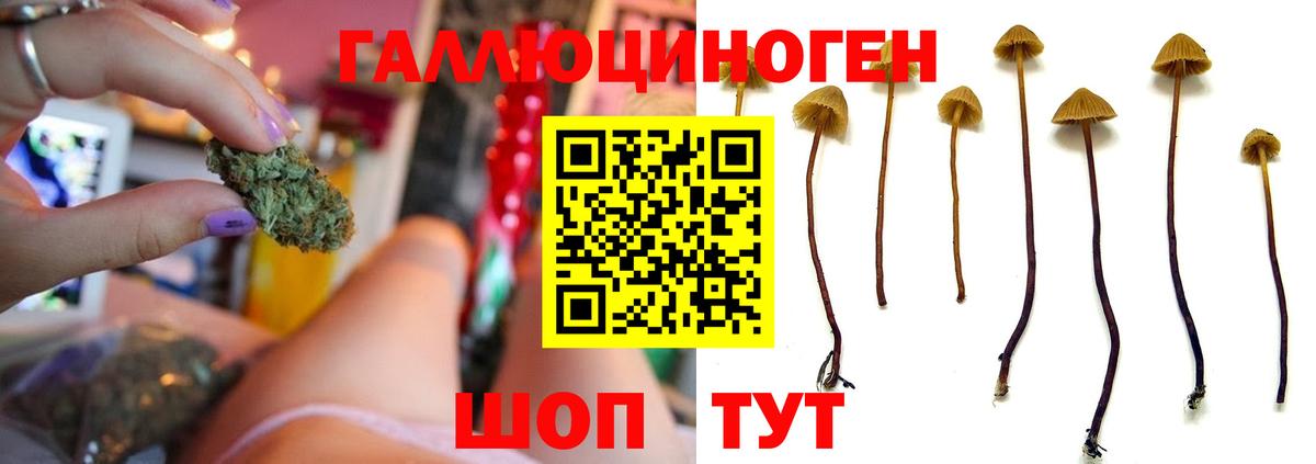 Кыштым  Галлюциногенные грибы Magic Shrooms  Вход с VPN 